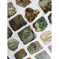 Minerały i skały. Grafika encyklopedyczna. Chromolitografia. Niemcy.
